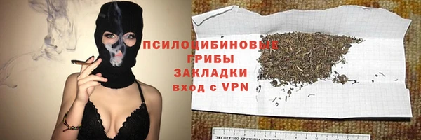 крисы Медногорск