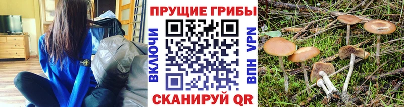 наркошоп  Николаевск  Галлюциногенные грибы Psilocybe 